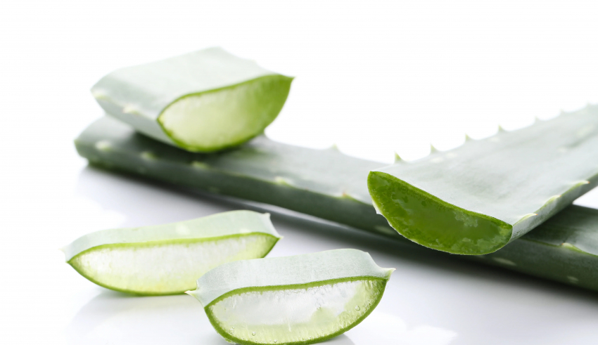 8 Potential Health Benefits of Aloe Vera